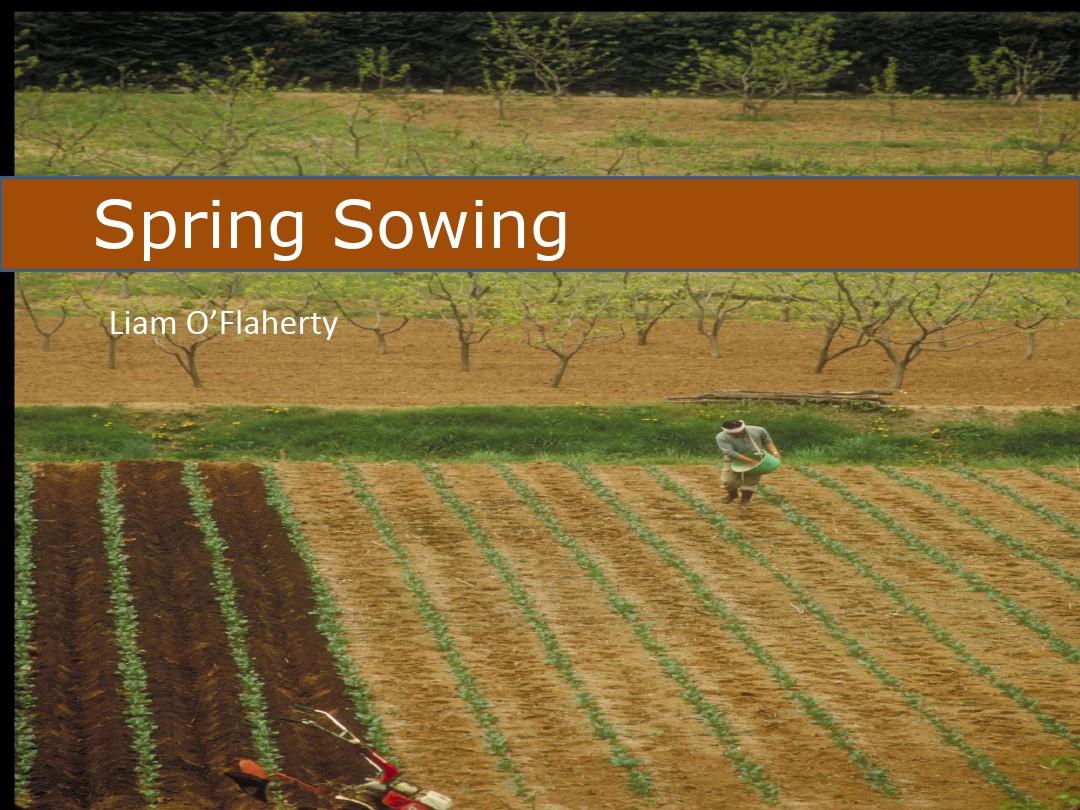 精读4Unit2 SpringSowing配套课件PPT幻灯片