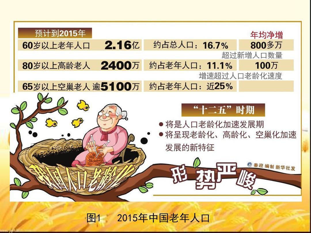 中国人口老龄化问题 PPT
