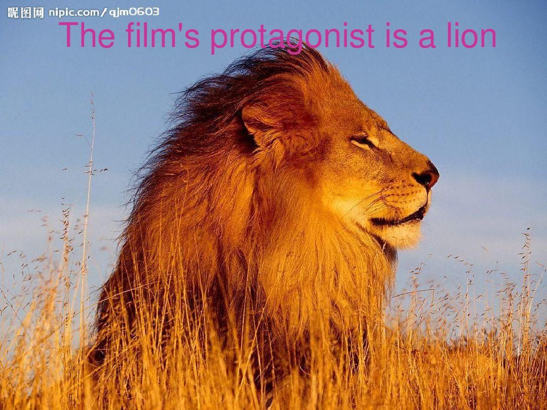 大学英语课上的ppt演讲：《lion king》(狮子王)