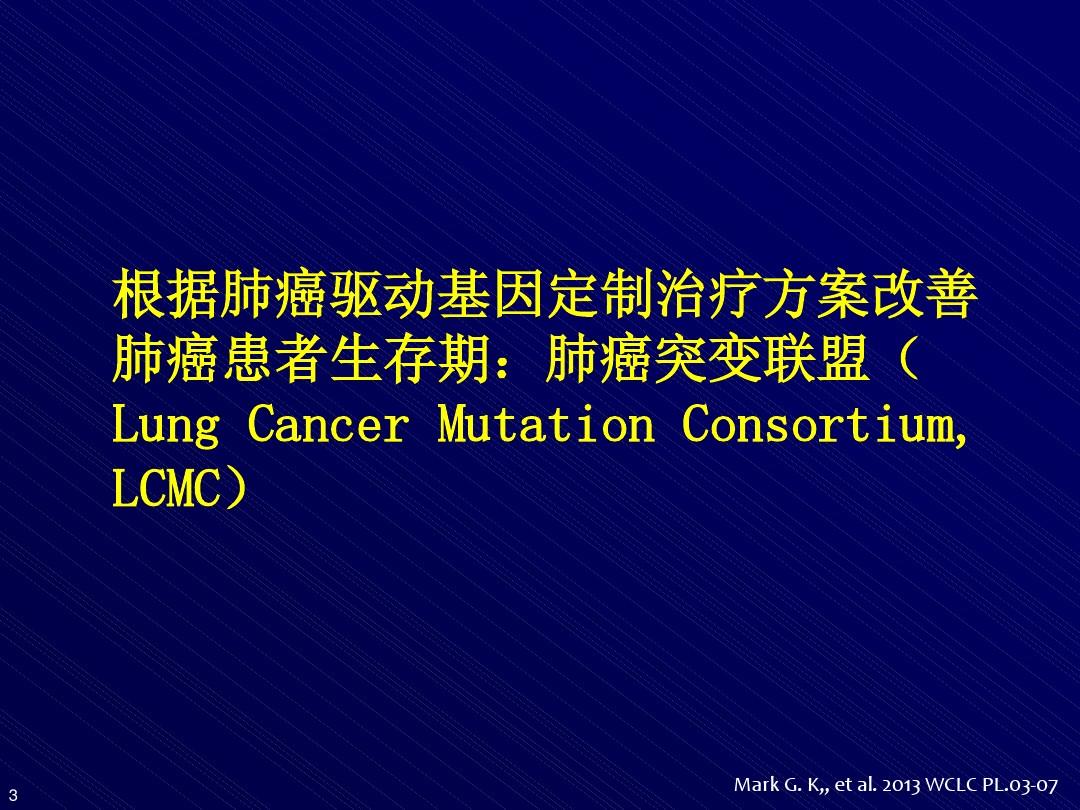 张树才-郑州2013-12-27-晚期非小细胞肺癌治疗策略的思考