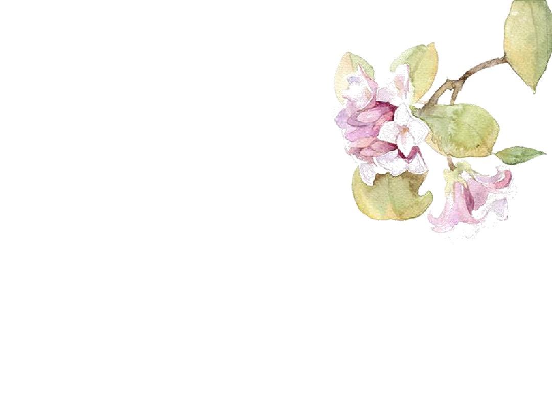 清新手绘系列ppt模板——水粉花朵
