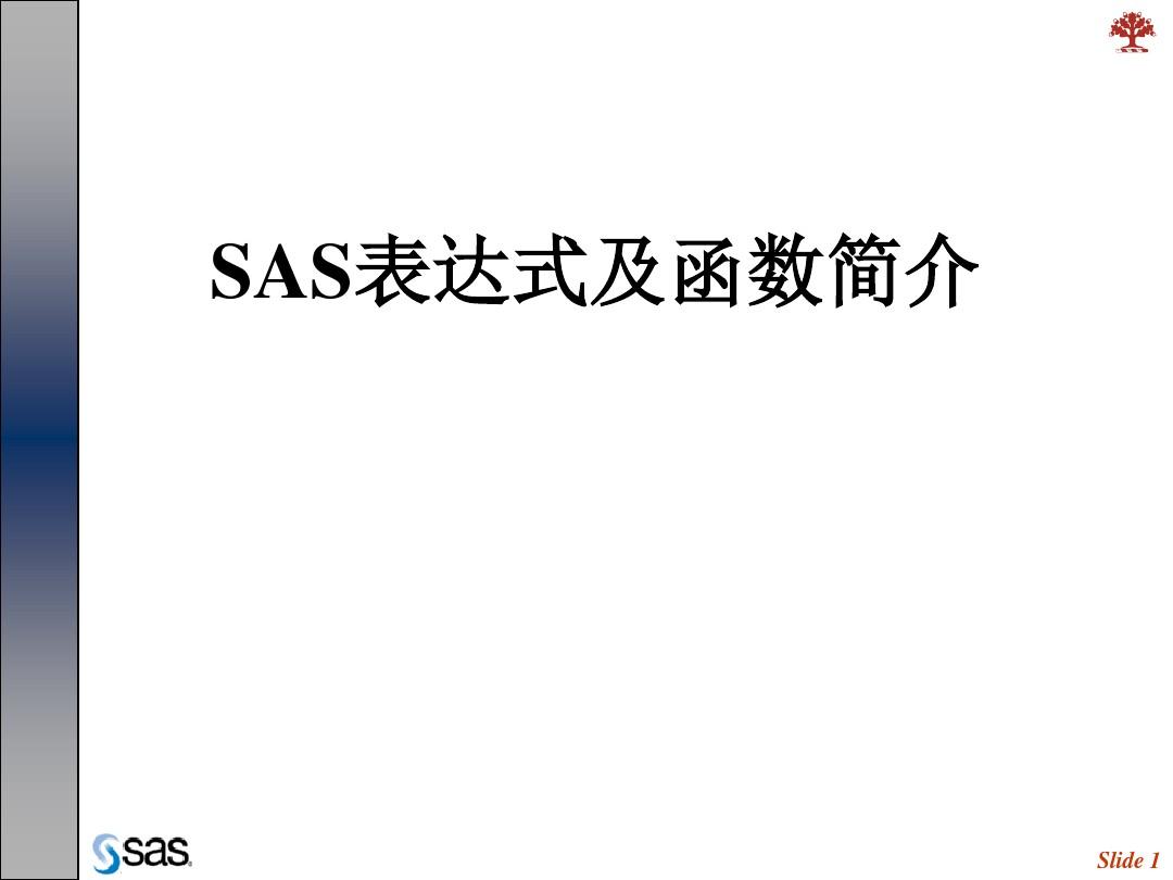 2.SAS基础_表达式及函数简介