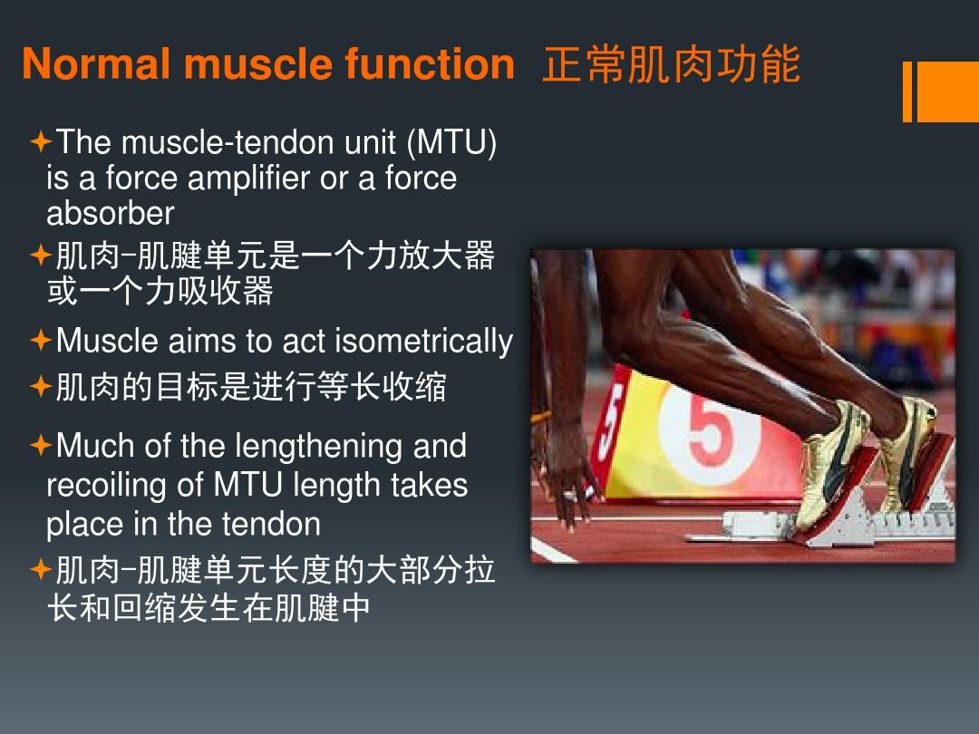 中英文-Muscle_injury_China__Joyce_2015
