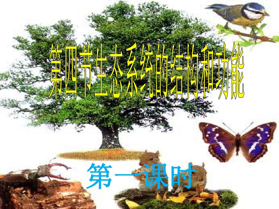 浙教版科学九下教学课件—生态系统的结构和功能