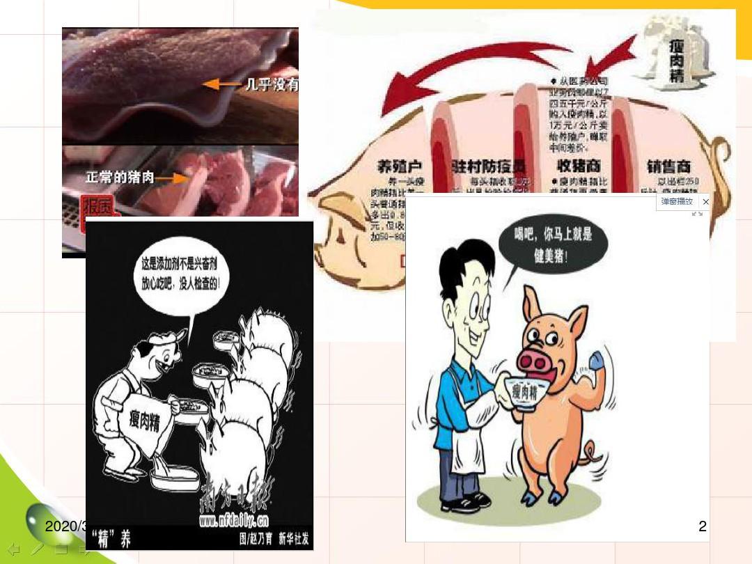 食品安全之猪肉安全PPT课件