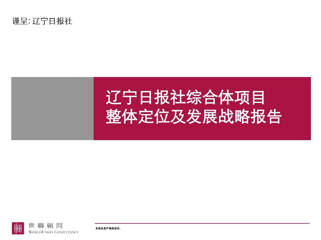 世联-2006年辽宁日报社综合体项目整体定位及发展战略报告(综合体)