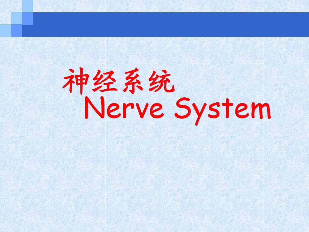 第七章2、神经系统理论课
