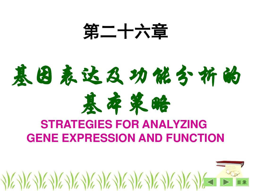 27第二十六章  基因表达及功能分析的基本策略