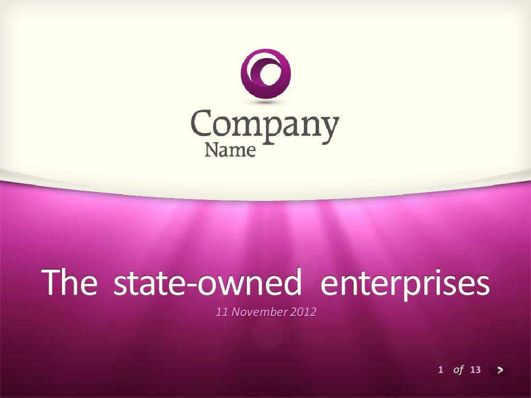 the state-owned enterprise(国有企业)
