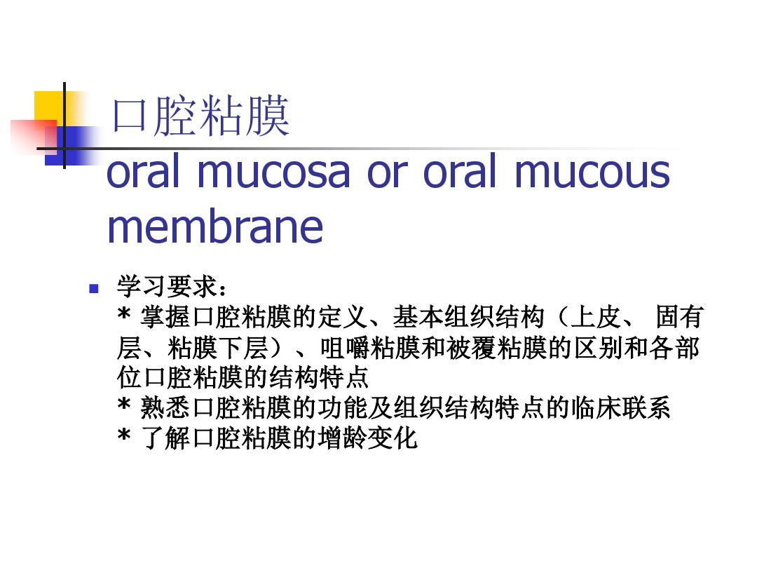 口腔组织病理学课件——口腔黏膜
