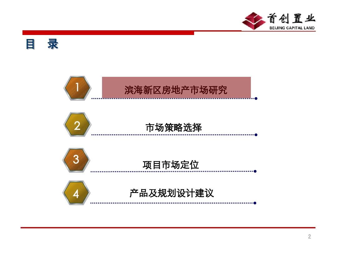天津滨海新区项目首创国际城定位报告(汇报)