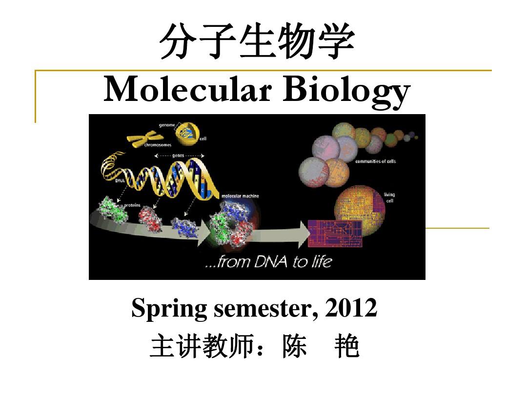 第1章分子生物学