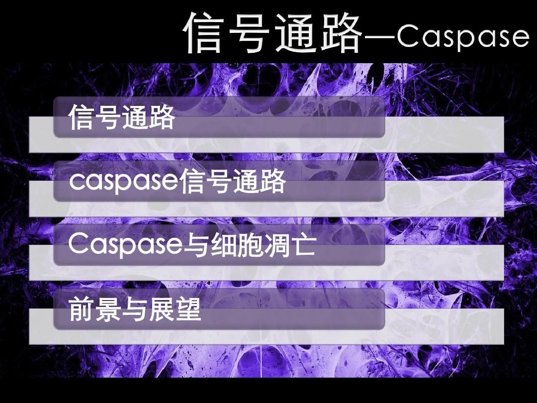 caspase信号通路讲解