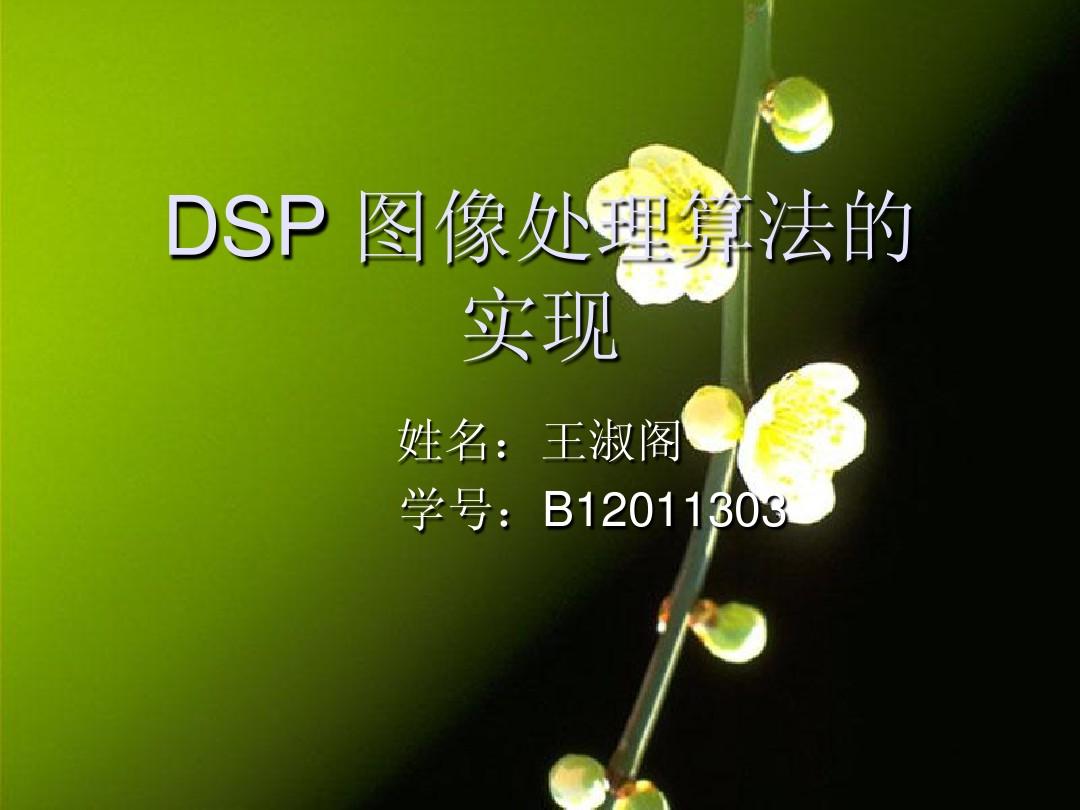 DSP图像处理算法的实现