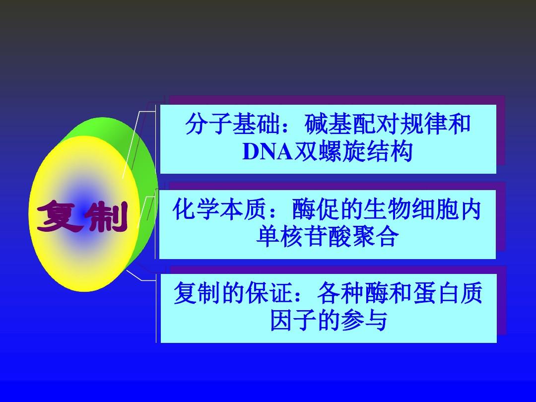 分子生物学DNA的生物合成(复制)