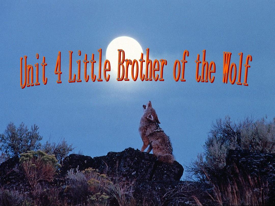 10 Unit 4 Little brother of the wolf
