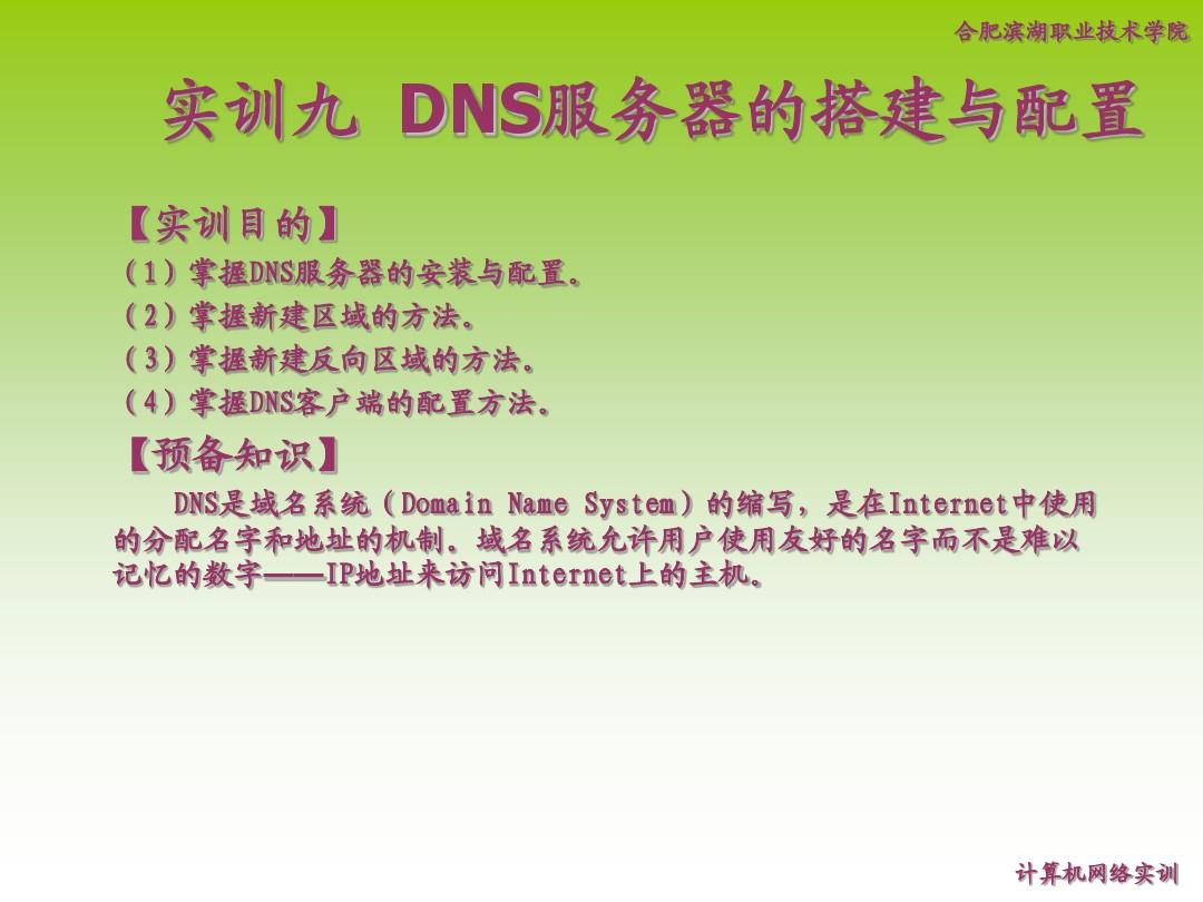 实训九 DNS服务器的搭建与配置