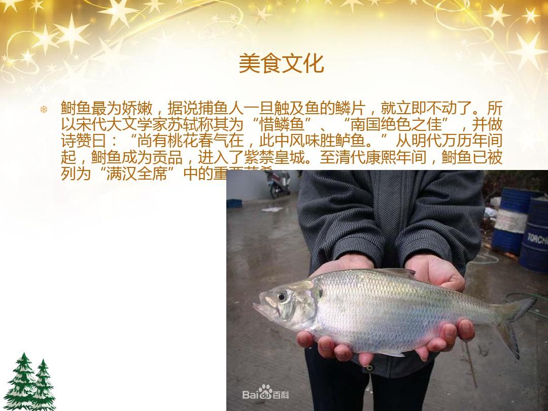 常见淡水鱼品种
