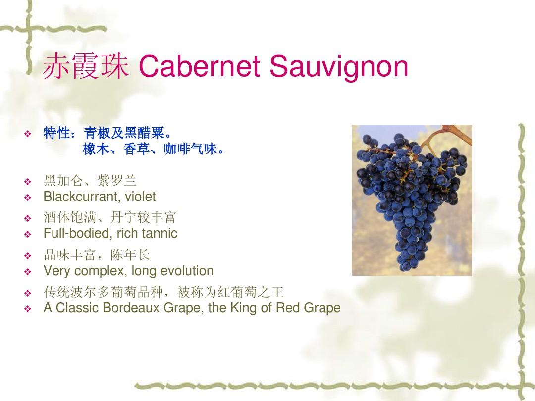 主要的酿酒葡萄品种简介