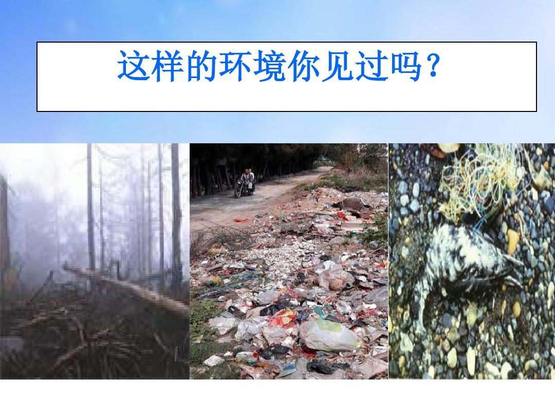 环境的污染与保护ppt课件演示文稿