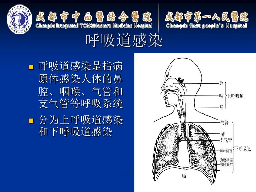 呼吸道九联检病原体检测及其临床意义