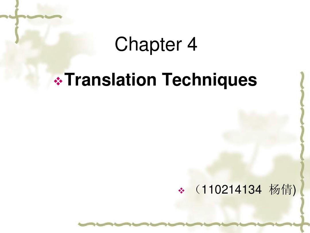 翻译方法与原则chapter4