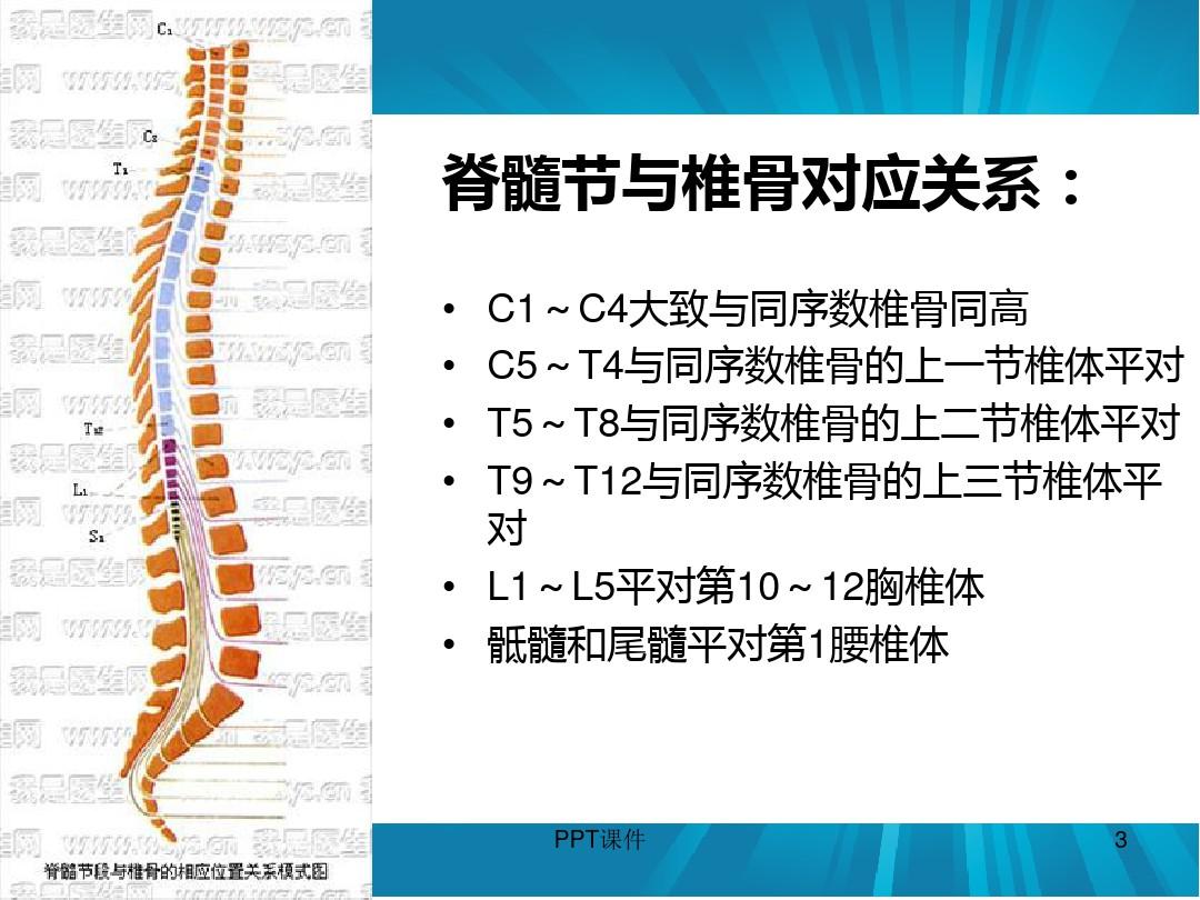 脊髓损伤的康复评定  ppt课件