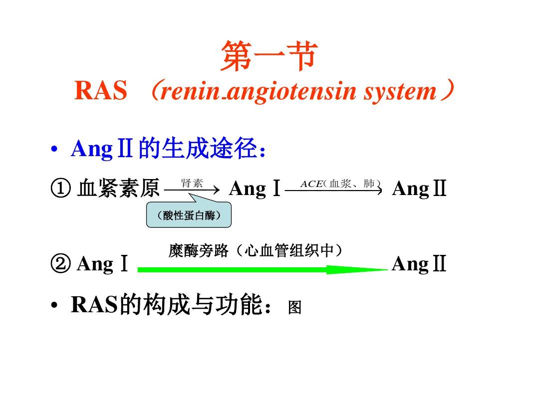 肾素-血管紧张素系统(RAS)药理