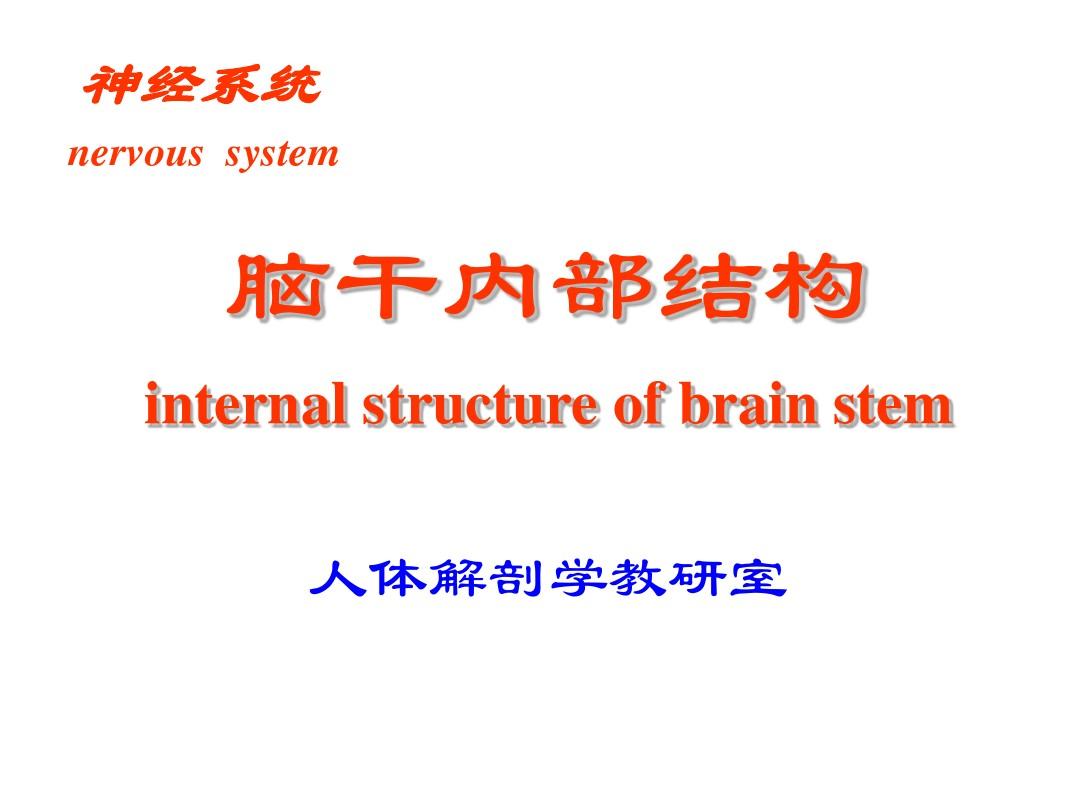 脑干内部结构