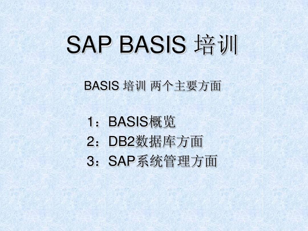 SAP_BASIS+DB2培训