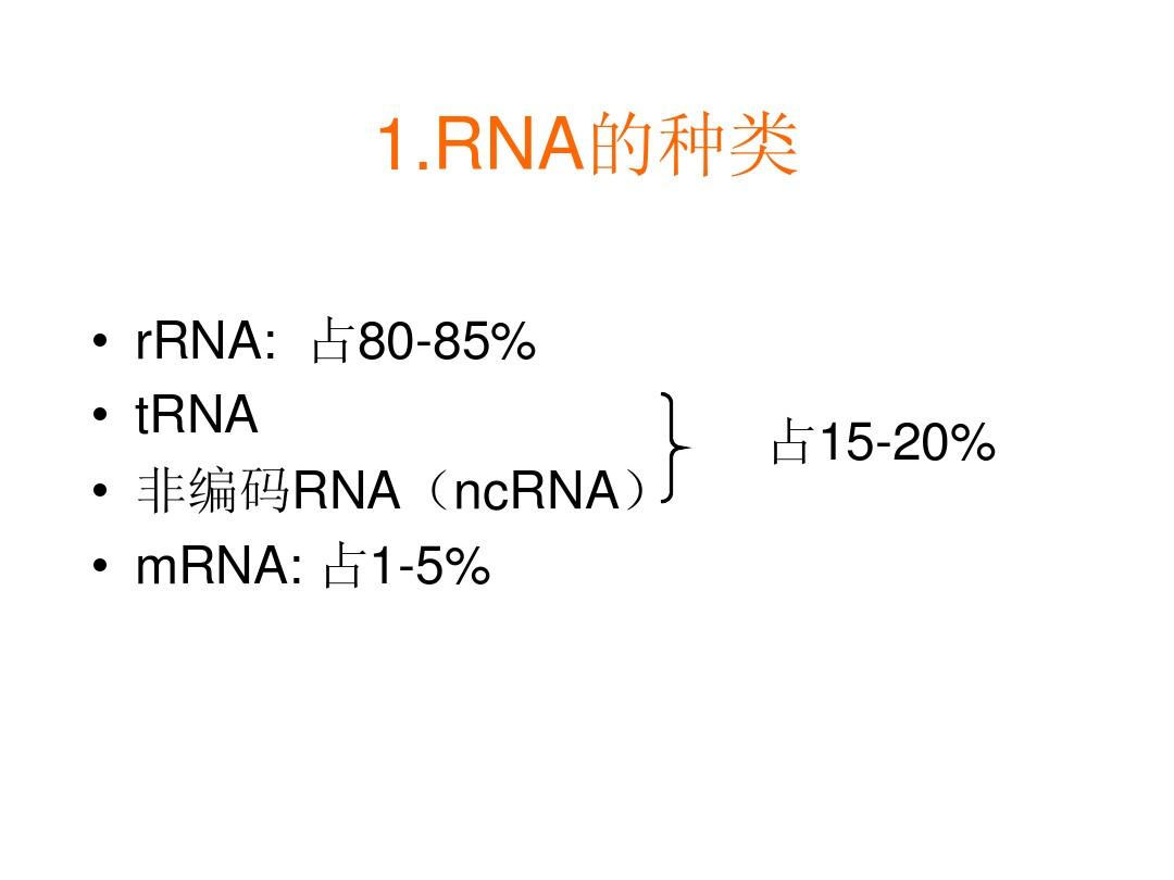 3-第二章 生物大分子(2 RNA)