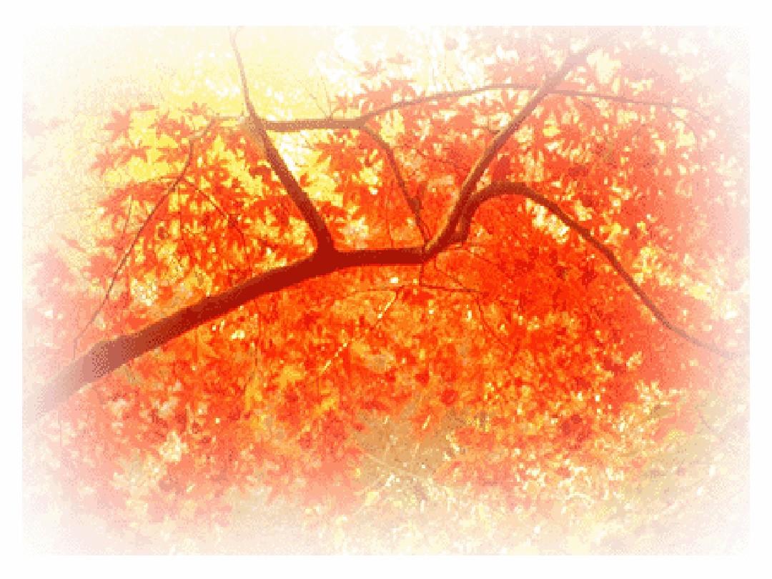 习作设计《秋天的图画》(1)