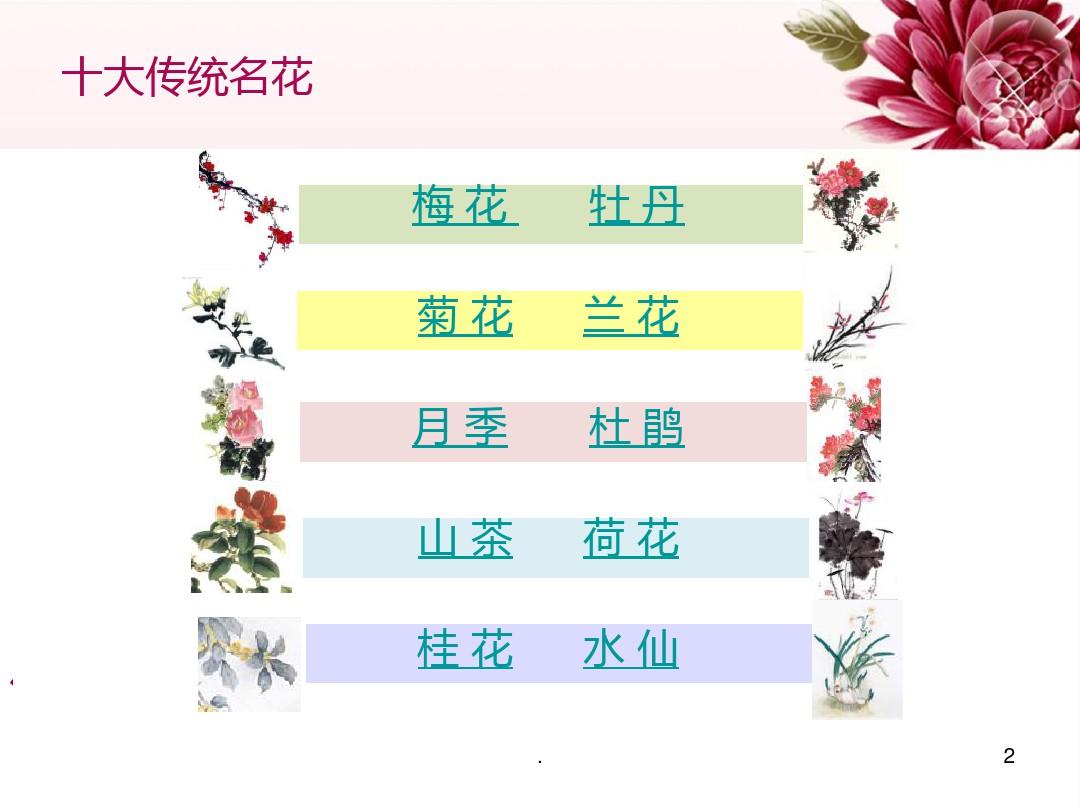 中国传统名花欣赏·菊花PPT课件