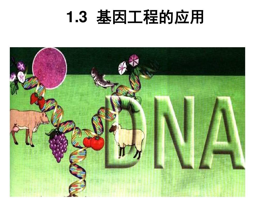 2015-2016高中生物人教版(选修《现代生物科技专题》)第一章第三节 基因工程的应用(共66张PPT)