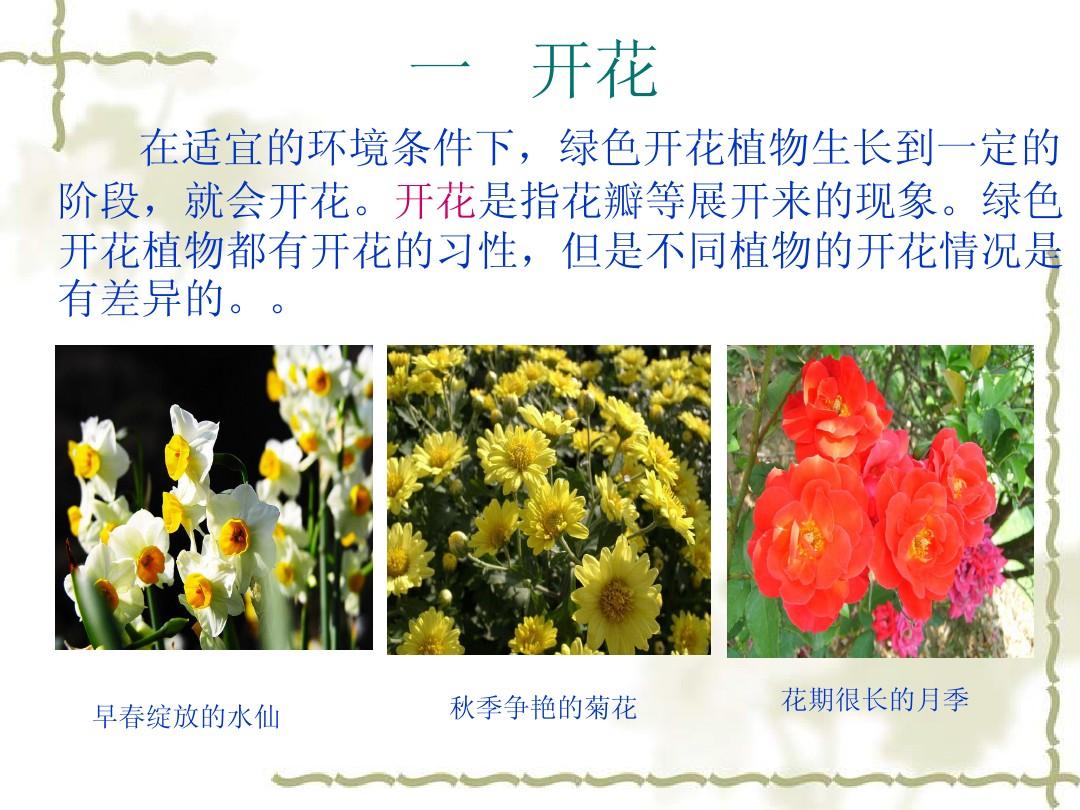 第五节  植物的开花和结果