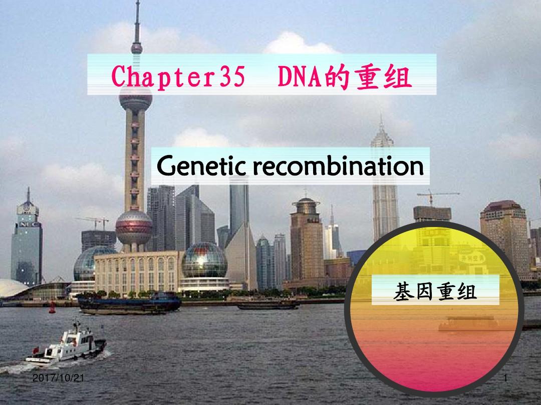 第35章  DNA的重组
