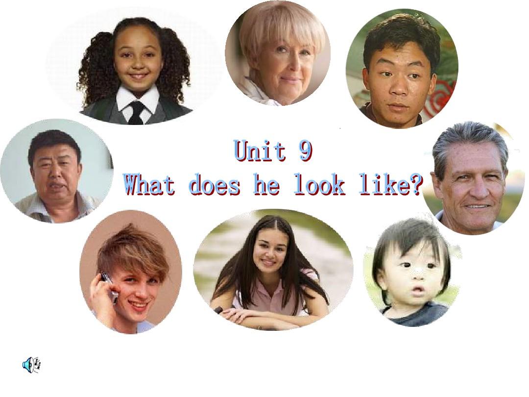 Unit9 what does he look like全单元课件(96张ppt)