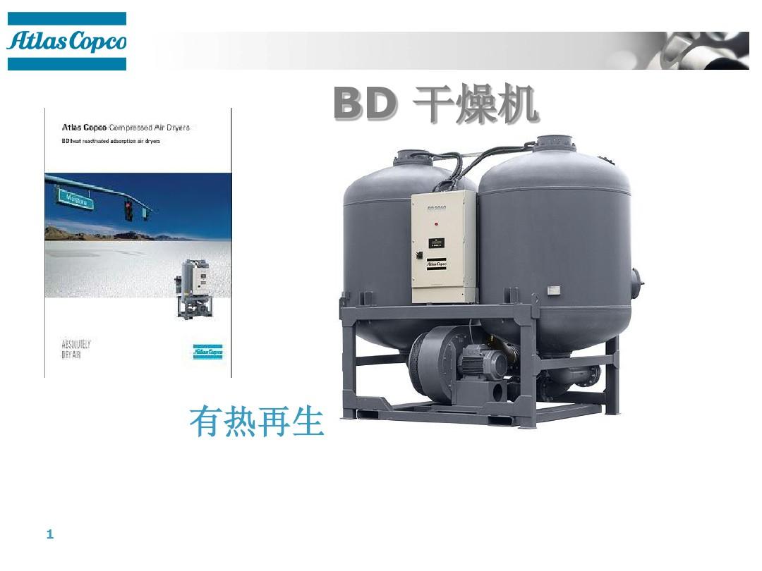 BD_presentation中文