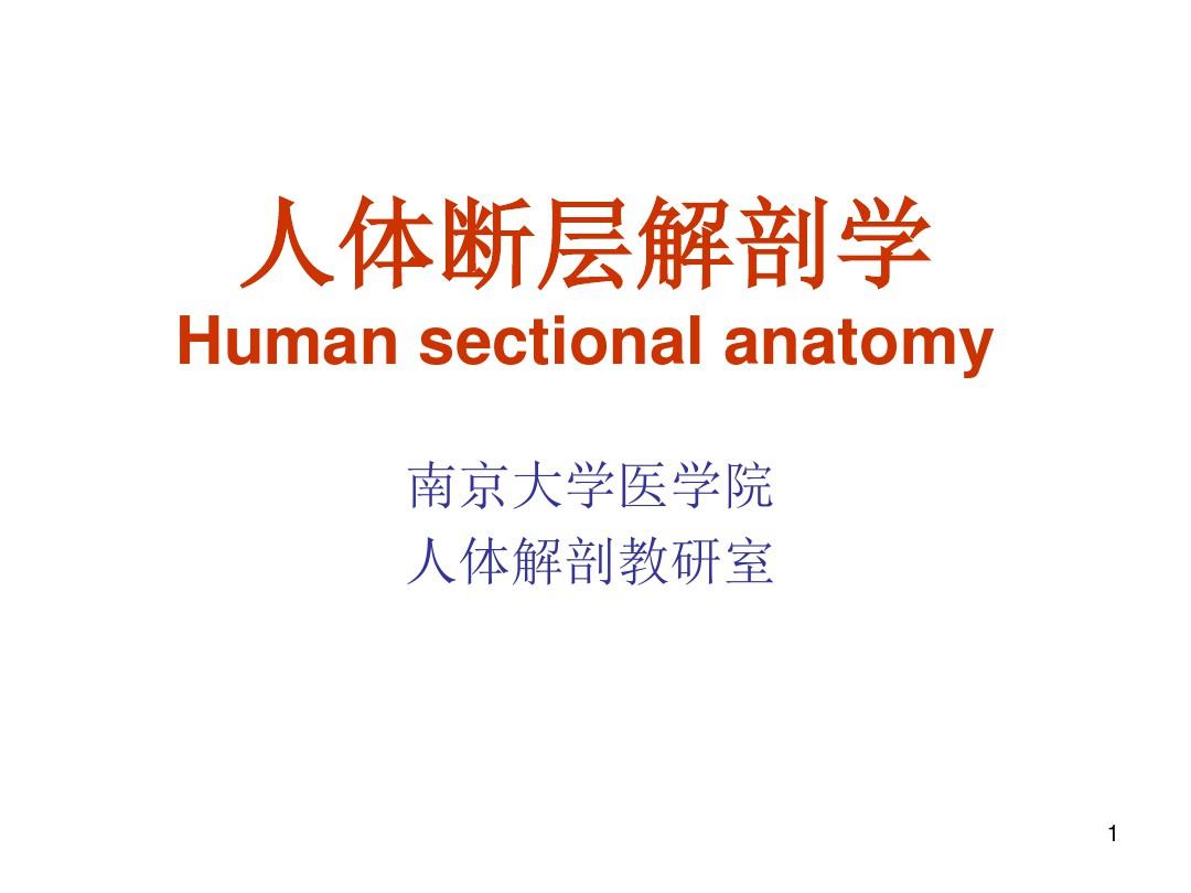 人体断层解剖学PPT课件