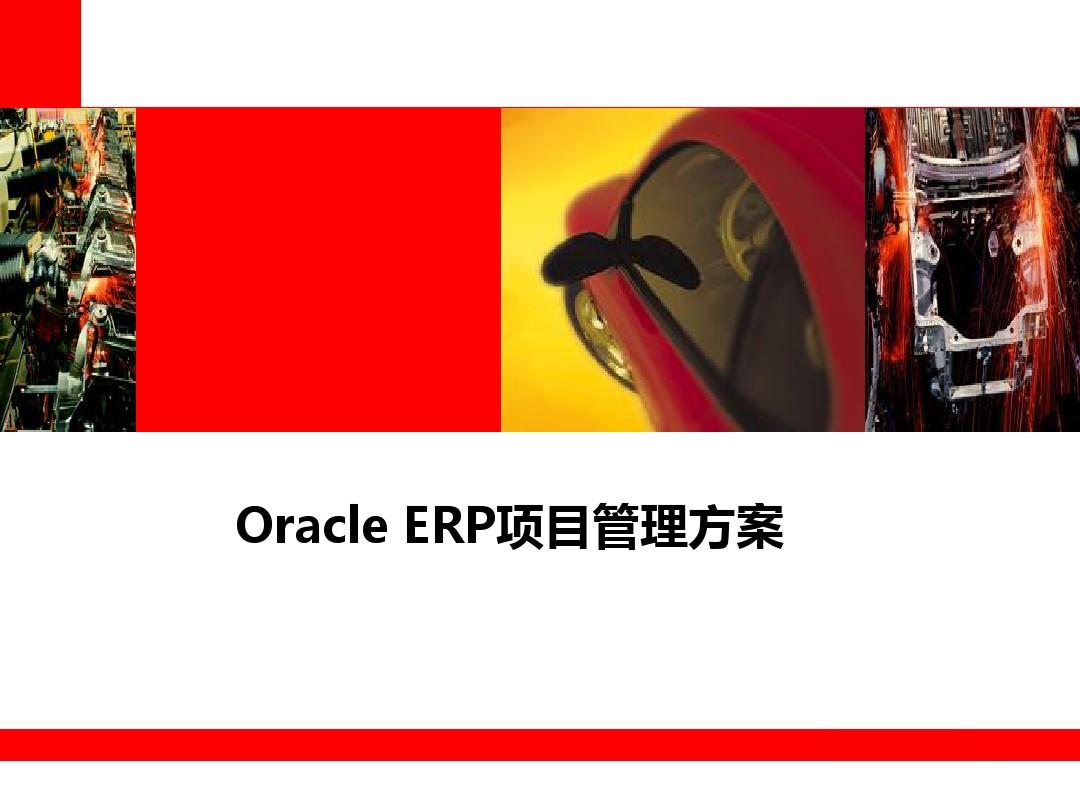 Oracle ERP项目管理方案