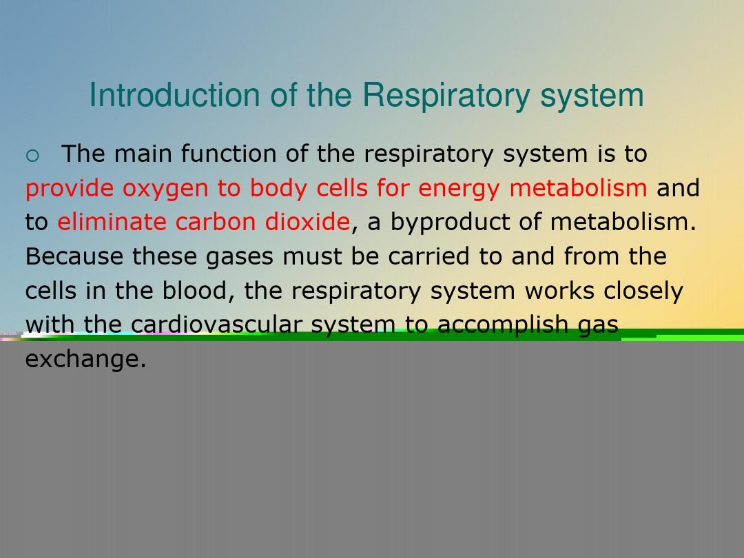 医学英语呼吸系统.ppt