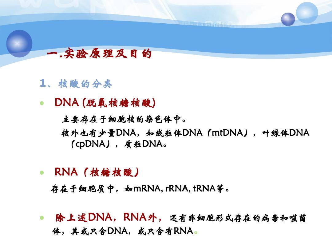 动物组织DNA提取最终