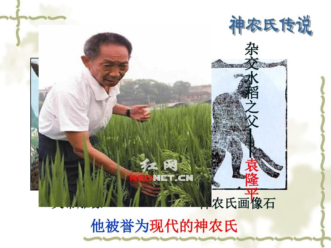 古代中国的农业