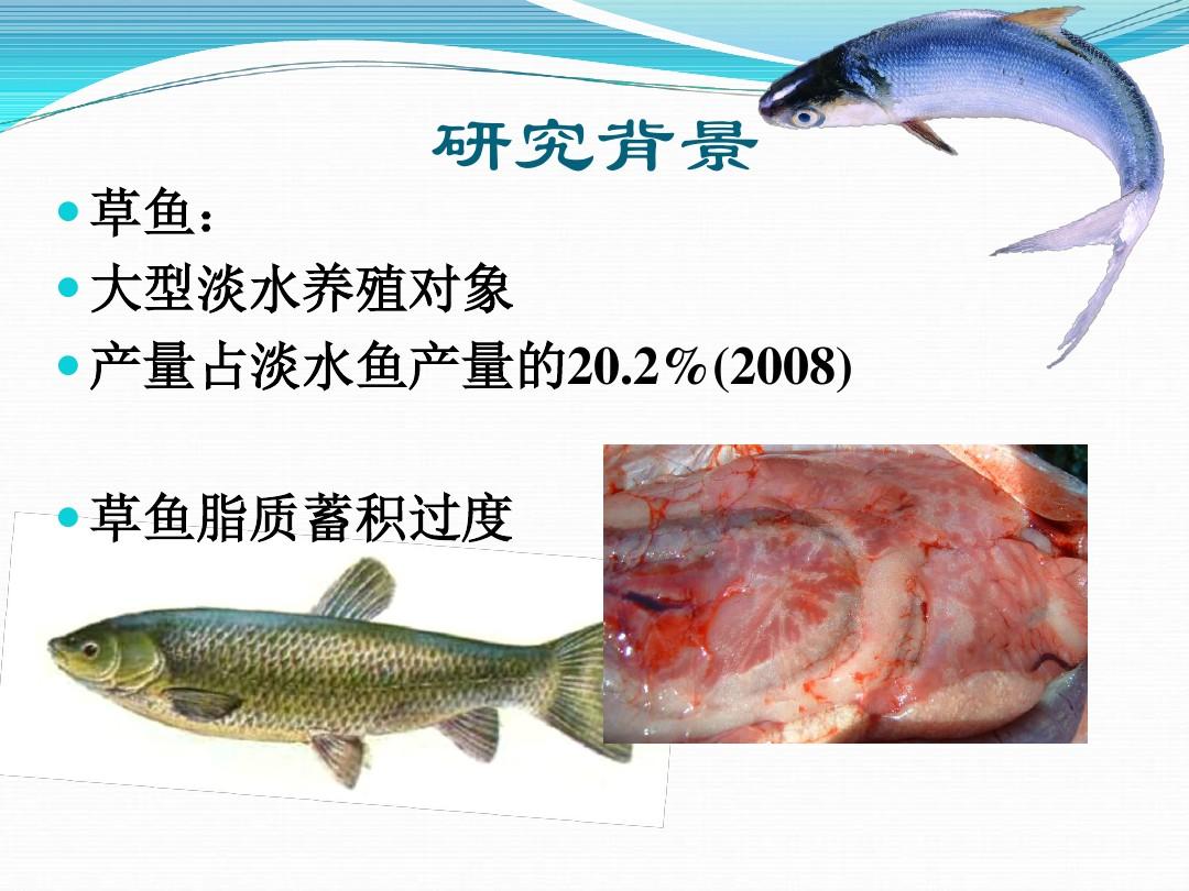 高不饱和脂肪酸调控草鱼生长及脂质代谢的研究