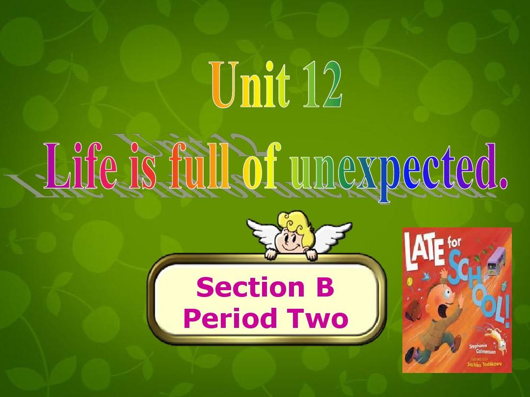 九年级英语全册 Unit 12 Life is full of the unexpected Section B 2课件 (新版)人教新目标版