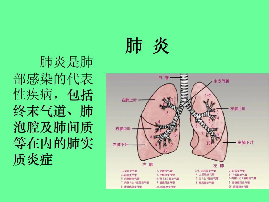 肺部感染课件PPT