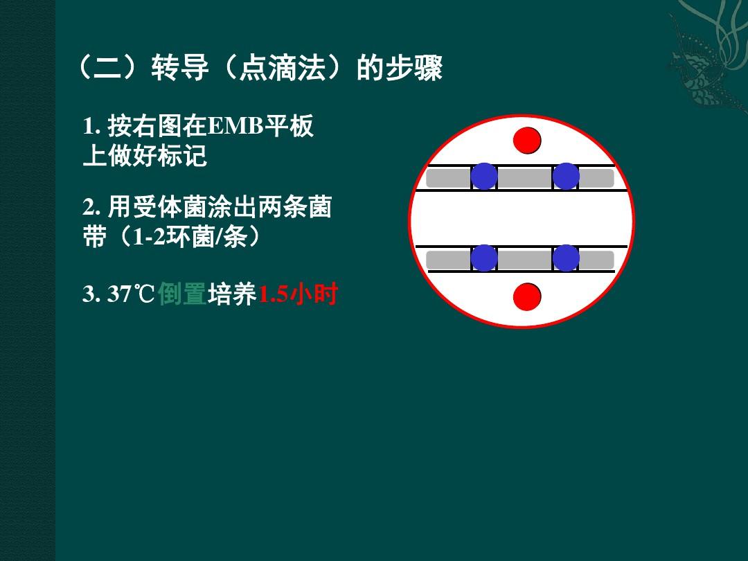 2016上海交通大学遗传学实验实验七细菌转导