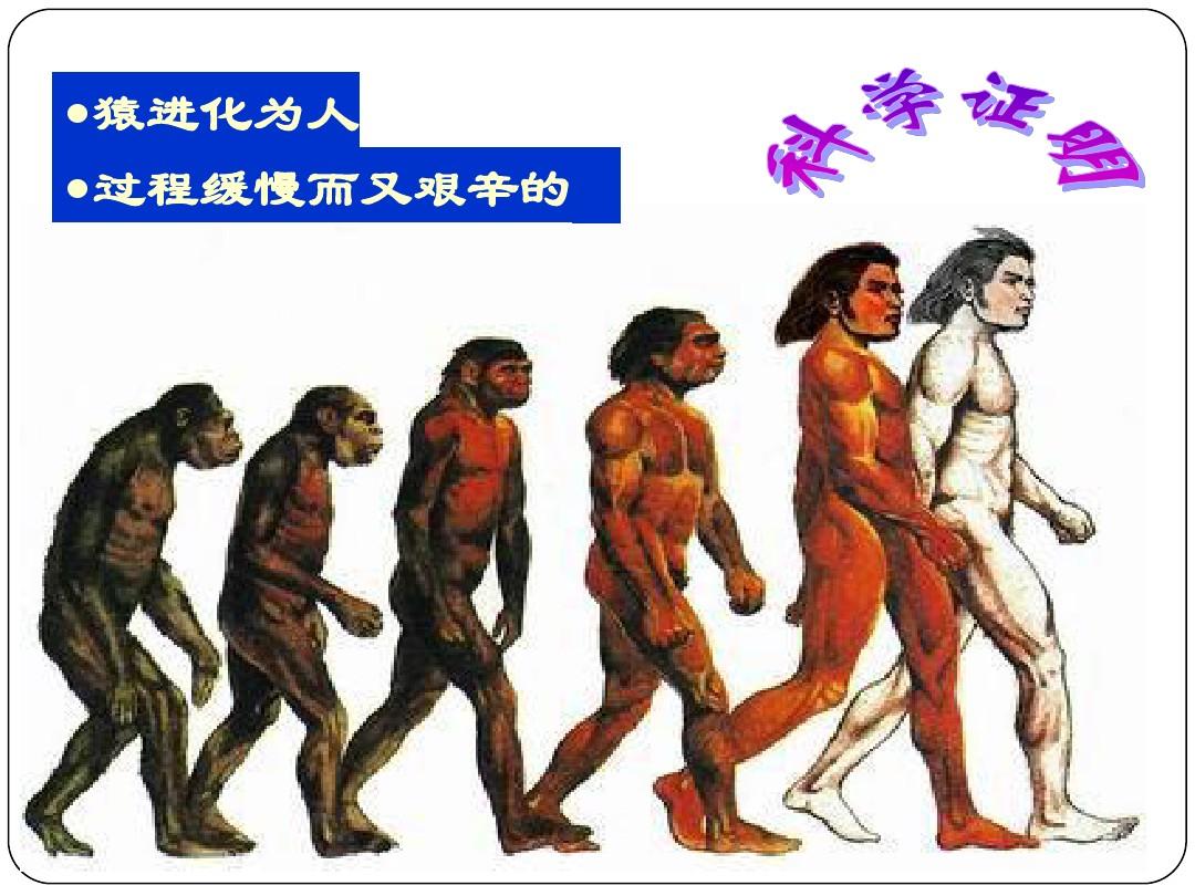 第1课 中华大地的远古人类【课件】 (共29张PPT)
