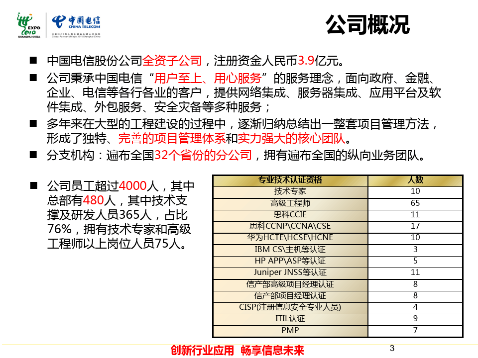 中国电信系统集成公司主要业务介绍