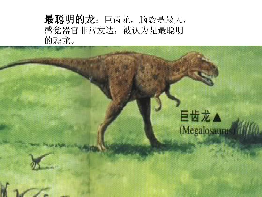 二年级下册 语文31恐龙的灭绝 课件 PPT